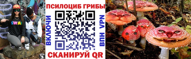 Псилоцибиновые грибы Psilocybine cubensis  Нижний Новгород 